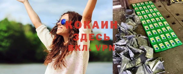 прущий лед Алзамай